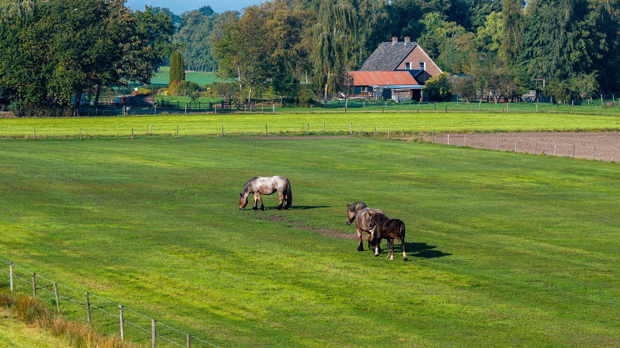 Photo 33 of Eerste Blokweg 19