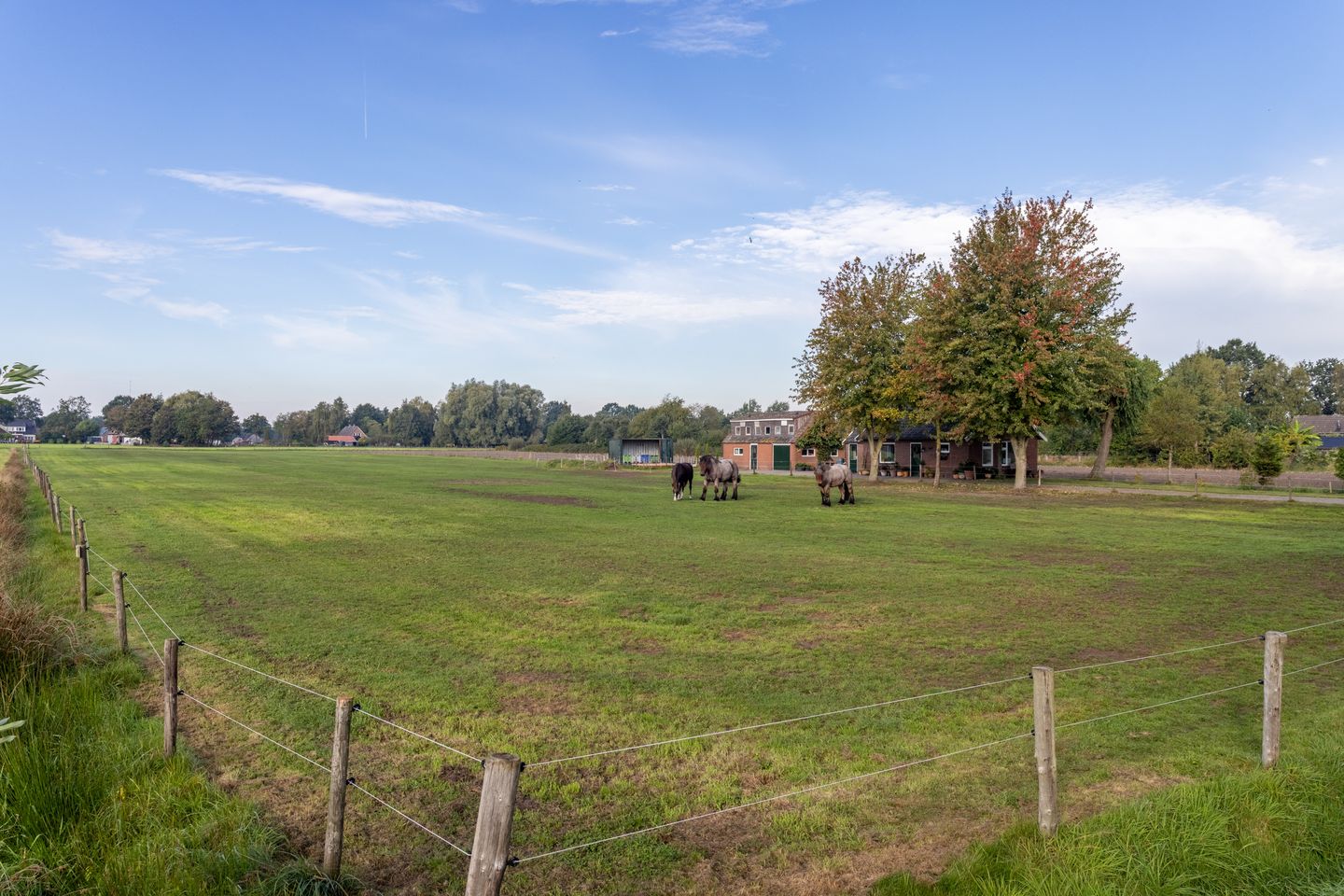 Photo 4 of Eerste Blokweg 19