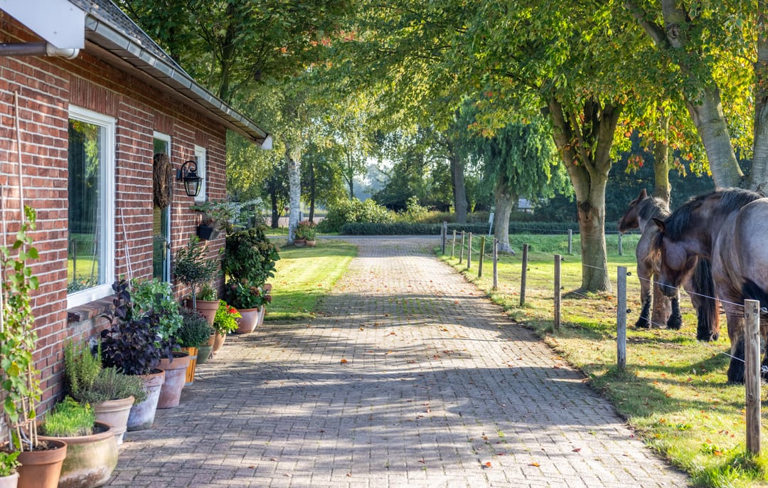 Photo 26 of Eerste Blokweg 19