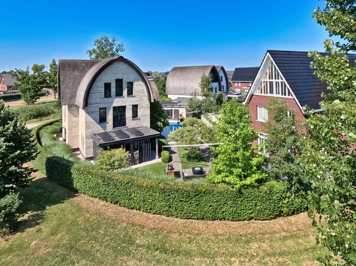 Foto 4 van Zilverschoon 6