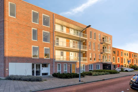 Koolwitjelaan thumbnail