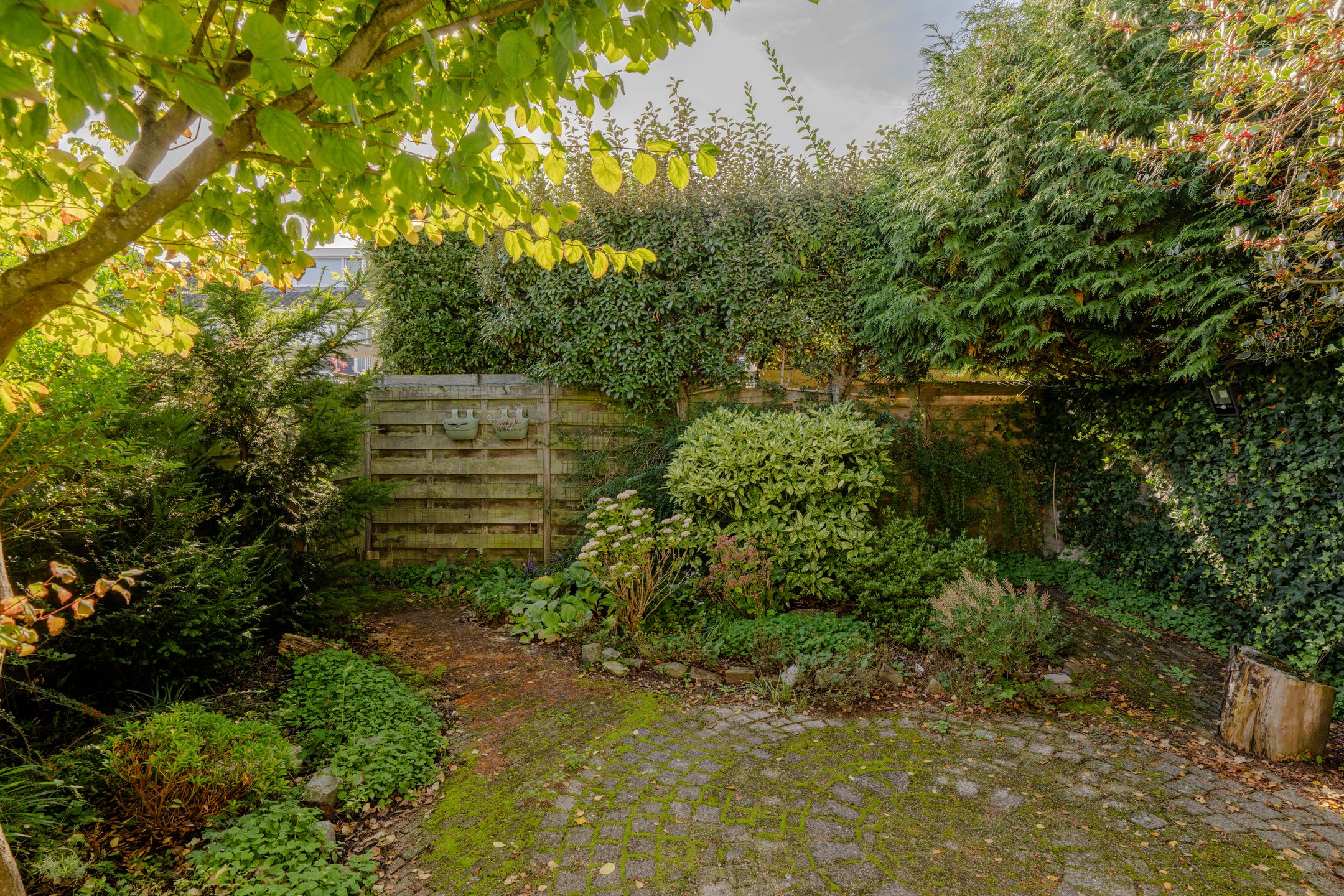 Photo 21 of Van der Marckstraat 7