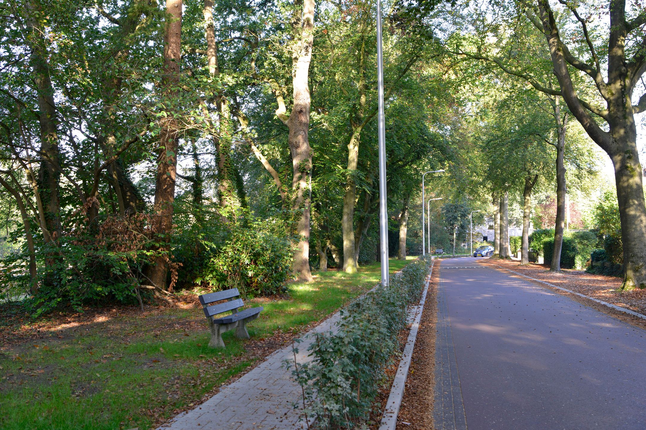 Photo 33 of Vondellaan 37