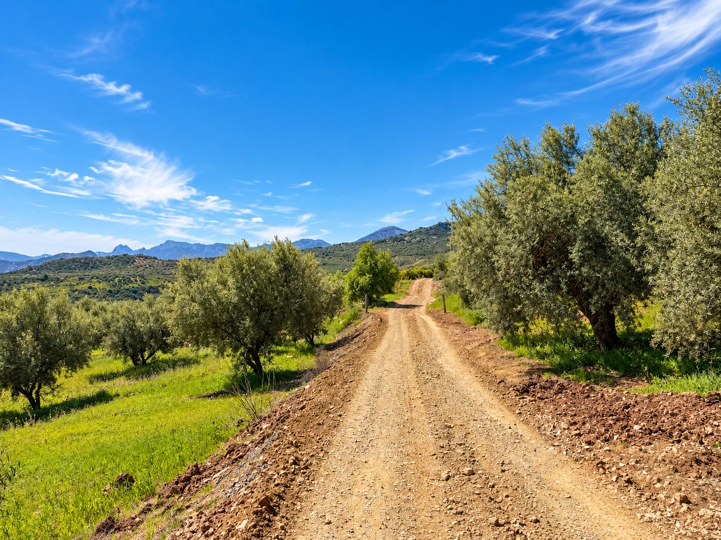 Photo 84 of Camino Rio Seco 559