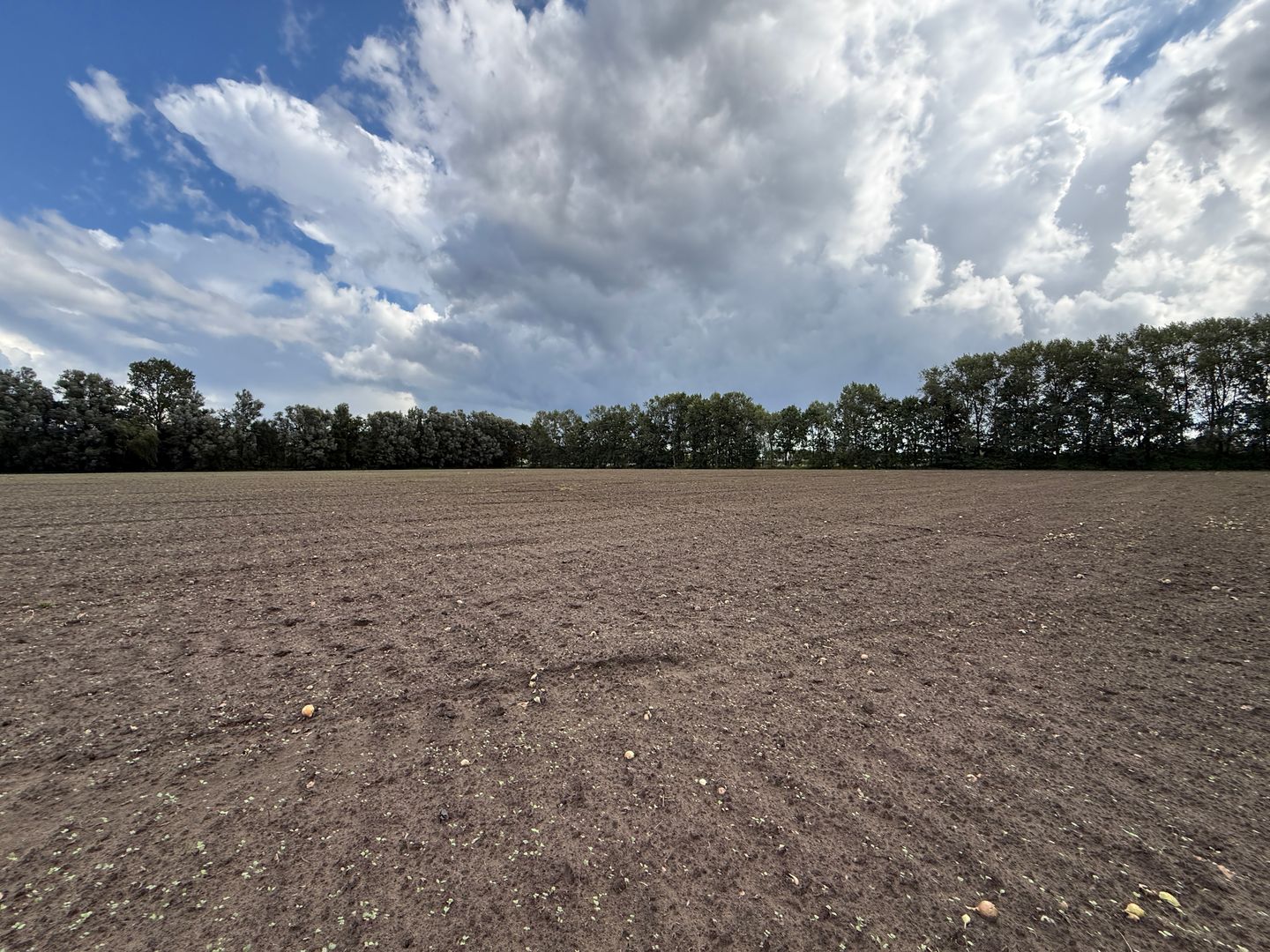 Huiskenshoek - Best - Afbeelding 7