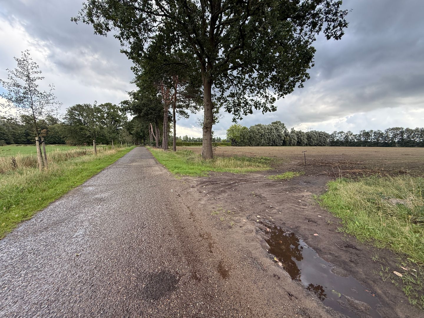 Huiskenshoek - Best - Afbeelding 3