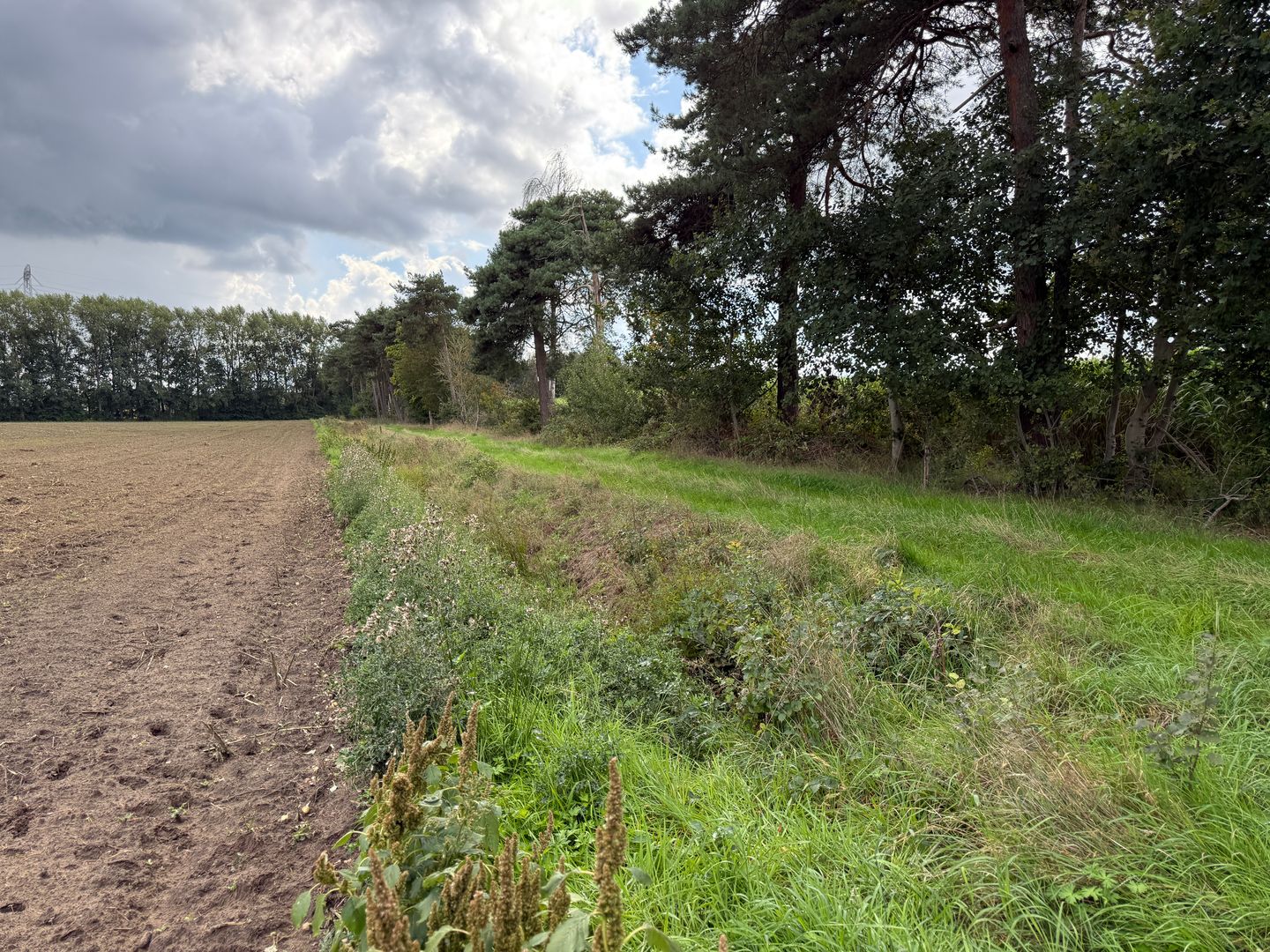 Huiskenshoek - Best - Afbeelding 6
