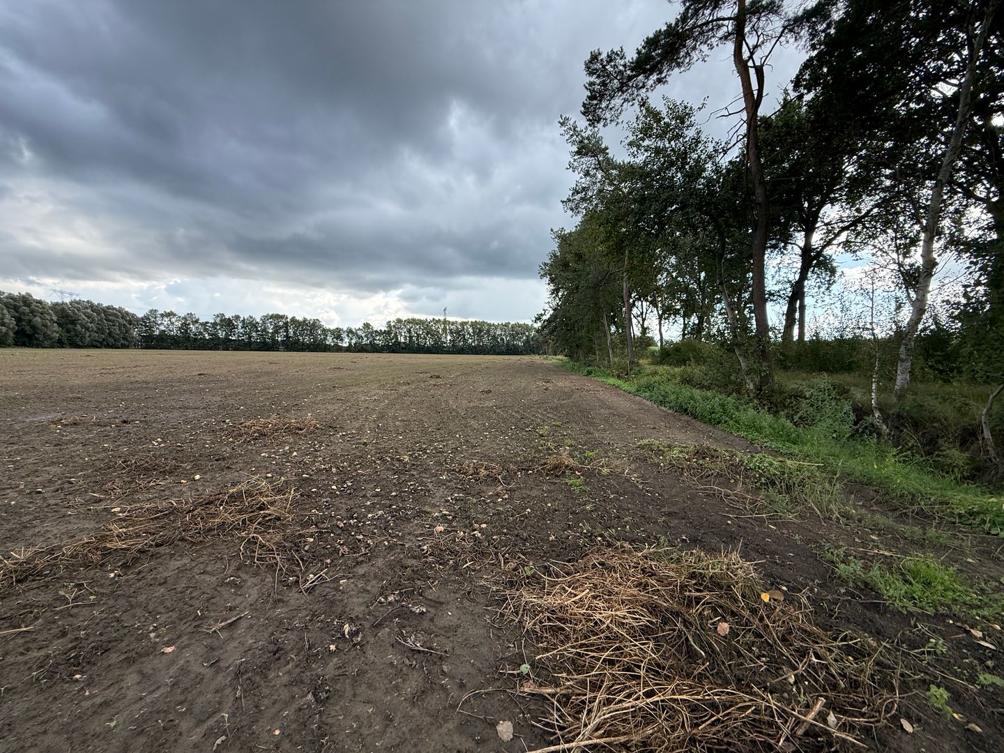 Huiskenshoek - Best - Afbeelding 5