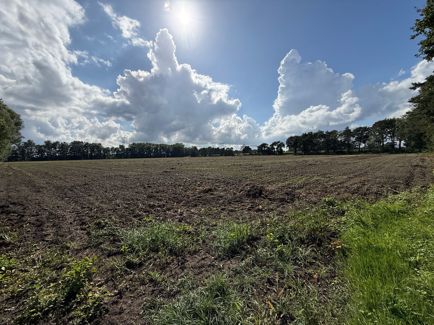 Huiskenshoek - Best - Afbeelding 4