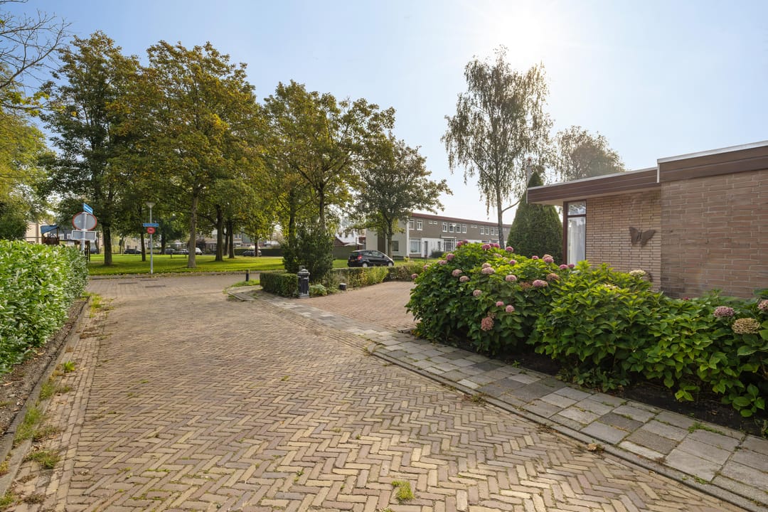 Photo 52 of Irenestraat 29