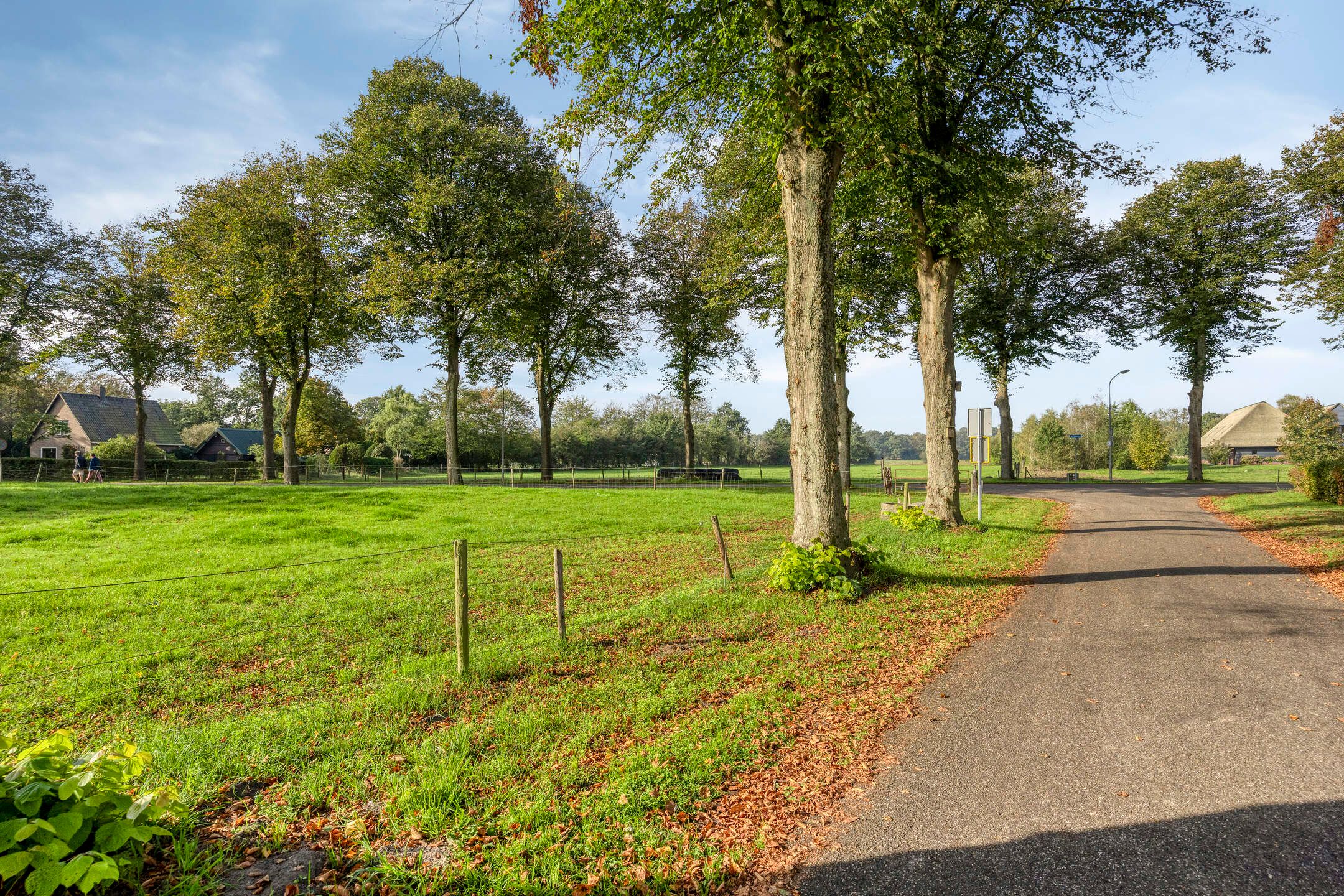 Photo 63 of Esweg 1
