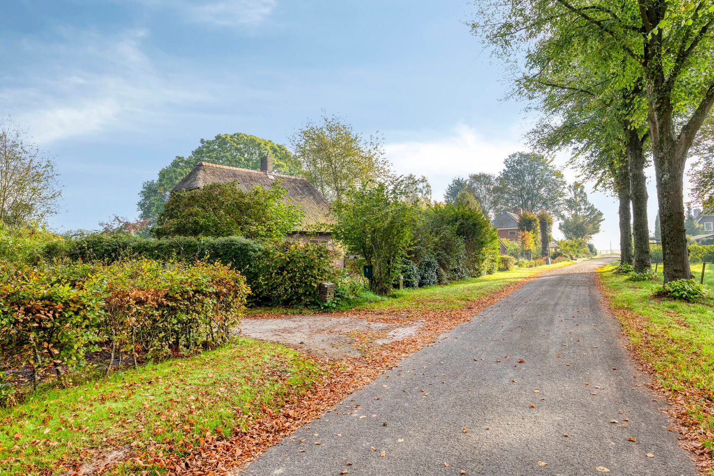 Photo 65 of Esweg 1