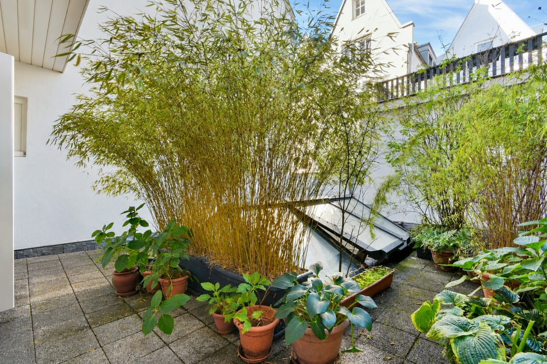 Photo 17 of Egelantiersgracht 36-1