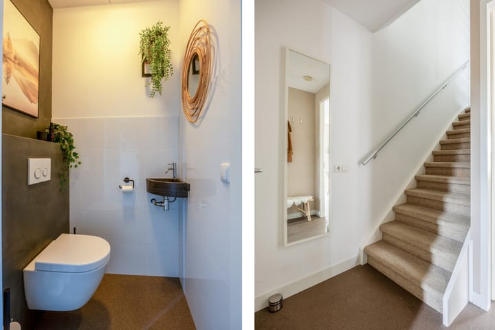Foto 4 van Zilveresdoorn 7