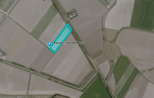 Hulster Nieuwlanddijk - Hulst - Afbeelding 4