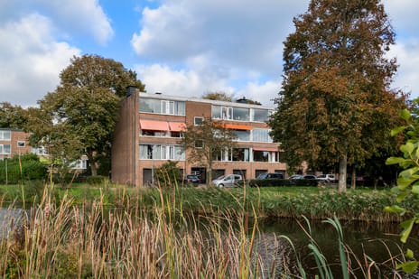Rijnlaan thumbnail