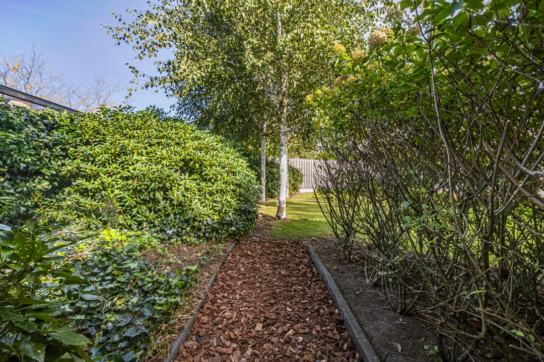 Foto 47 van Willem Barentszstraat 47