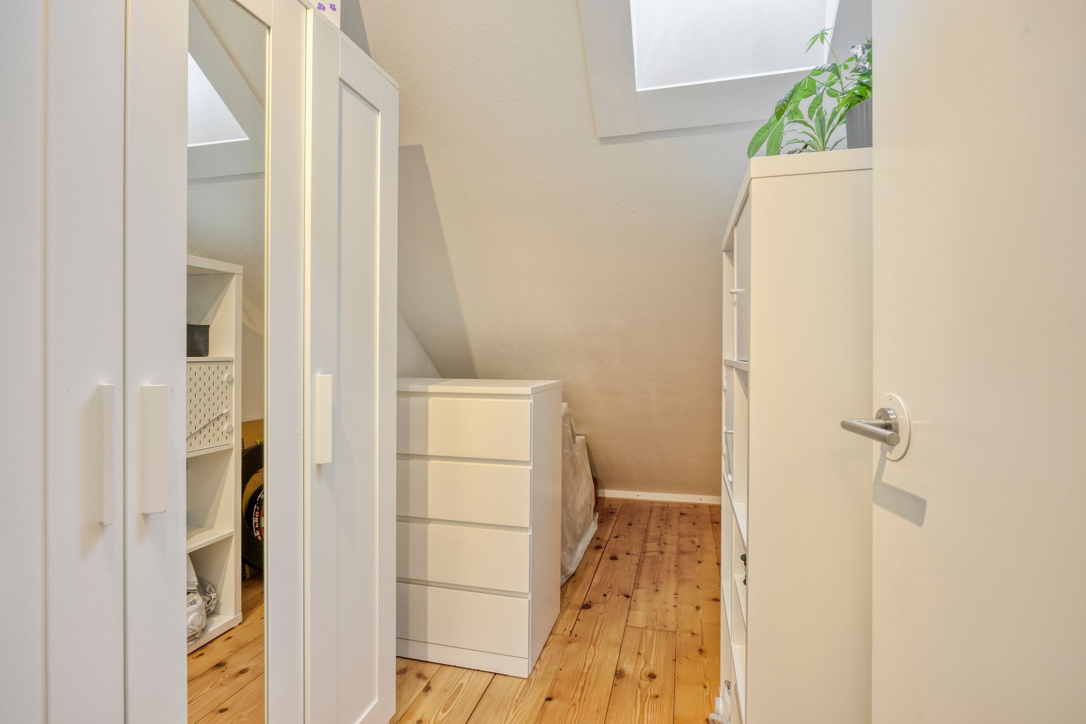 Photo 21 of Houtduif 9