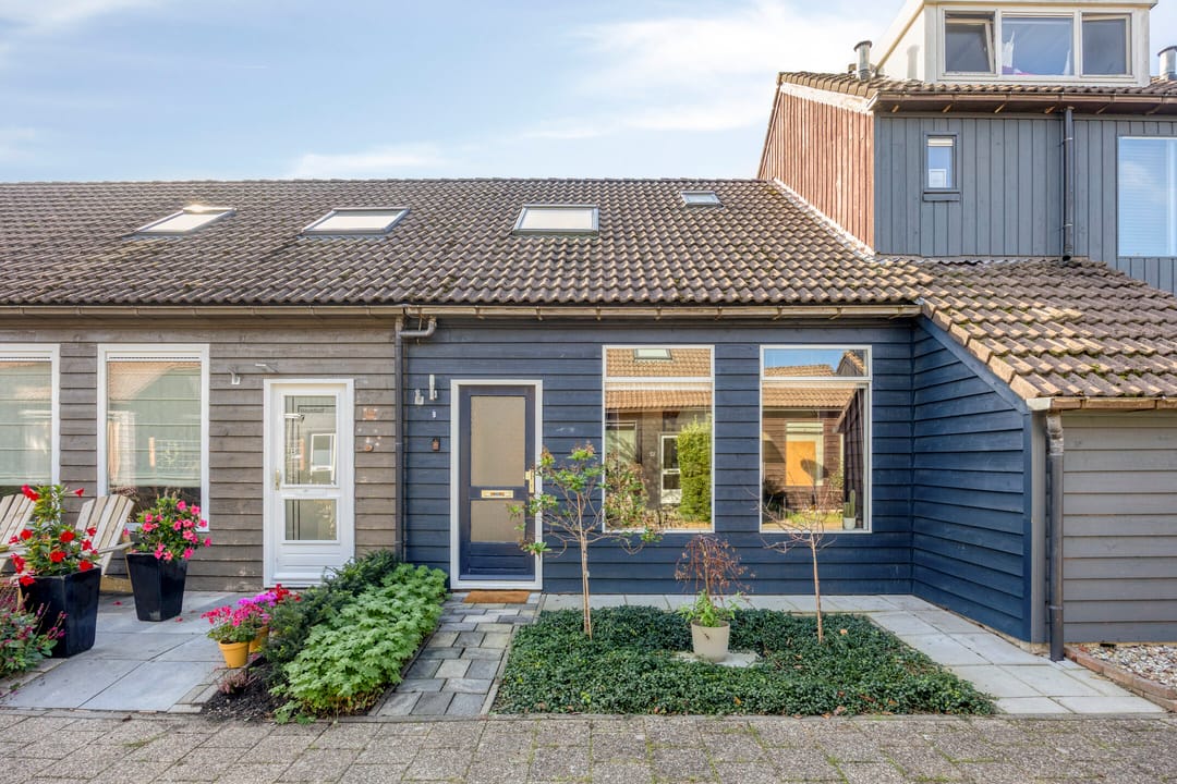 Photo 26 of Houtduif 9