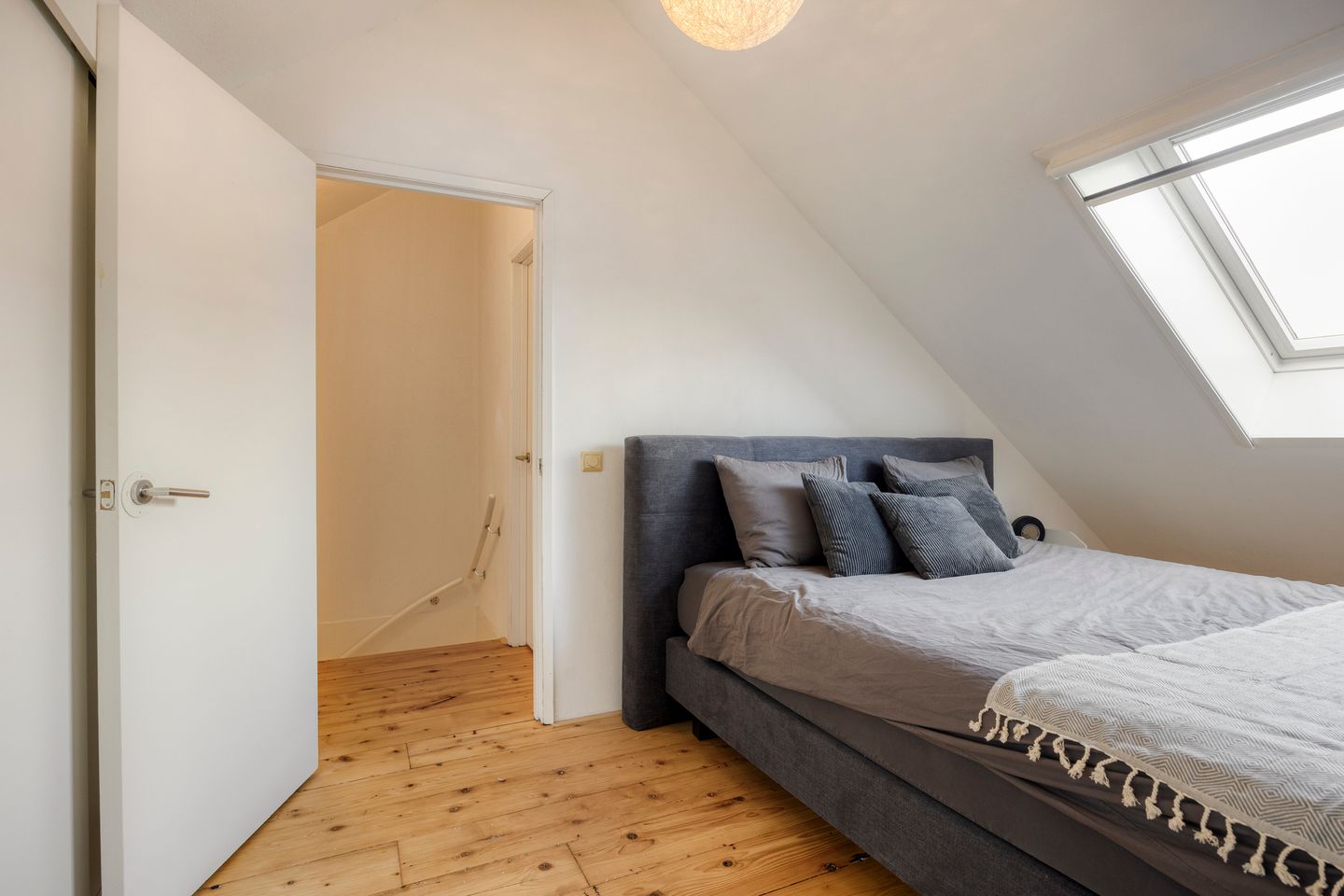 Photo 20 of Houtduif 9