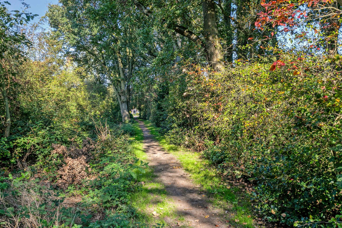 Photo 55 of Distelveld 10