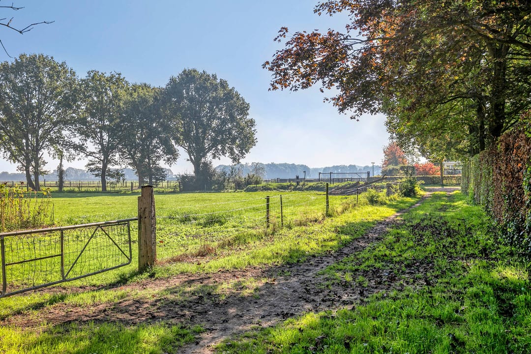 Photo 56 of Distelveld 10