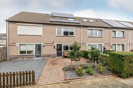 Albrecht Sprengerstraat thumbnail