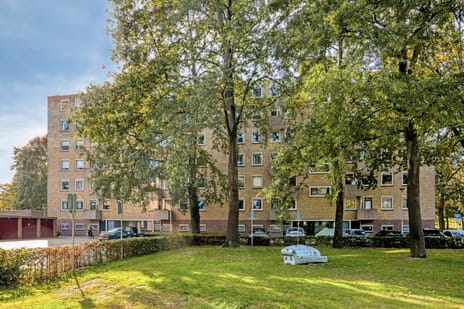 Friezenlaan thumbnail