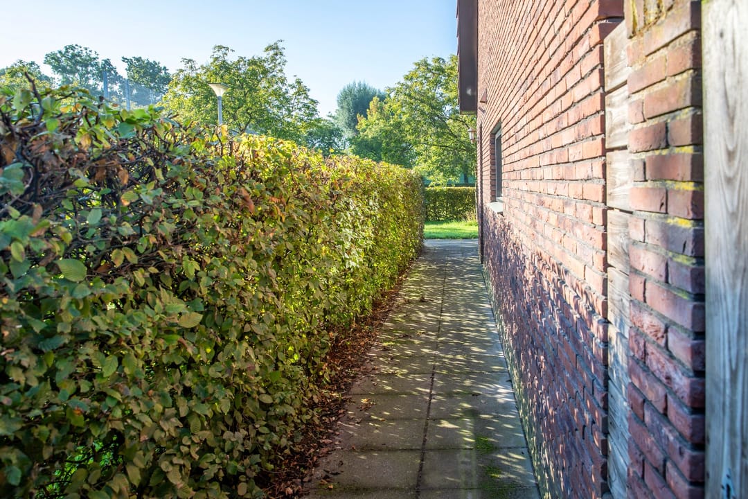 Photo 46 of Johannes Vermeerstraat 6