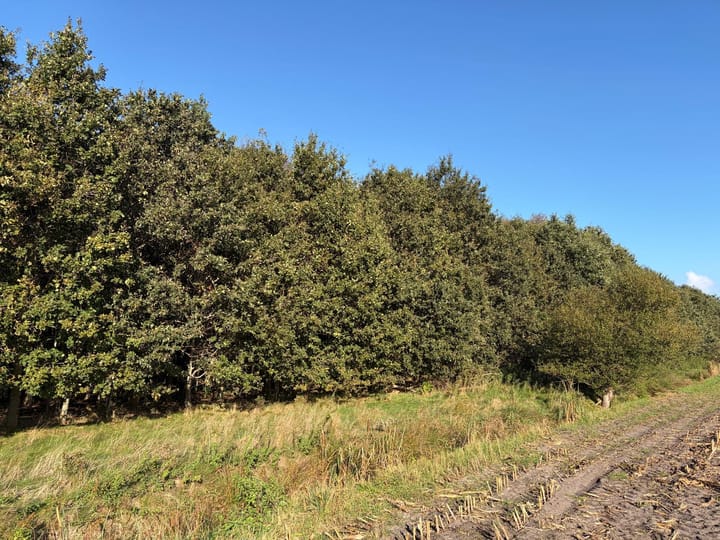 Stieltjeskanaal