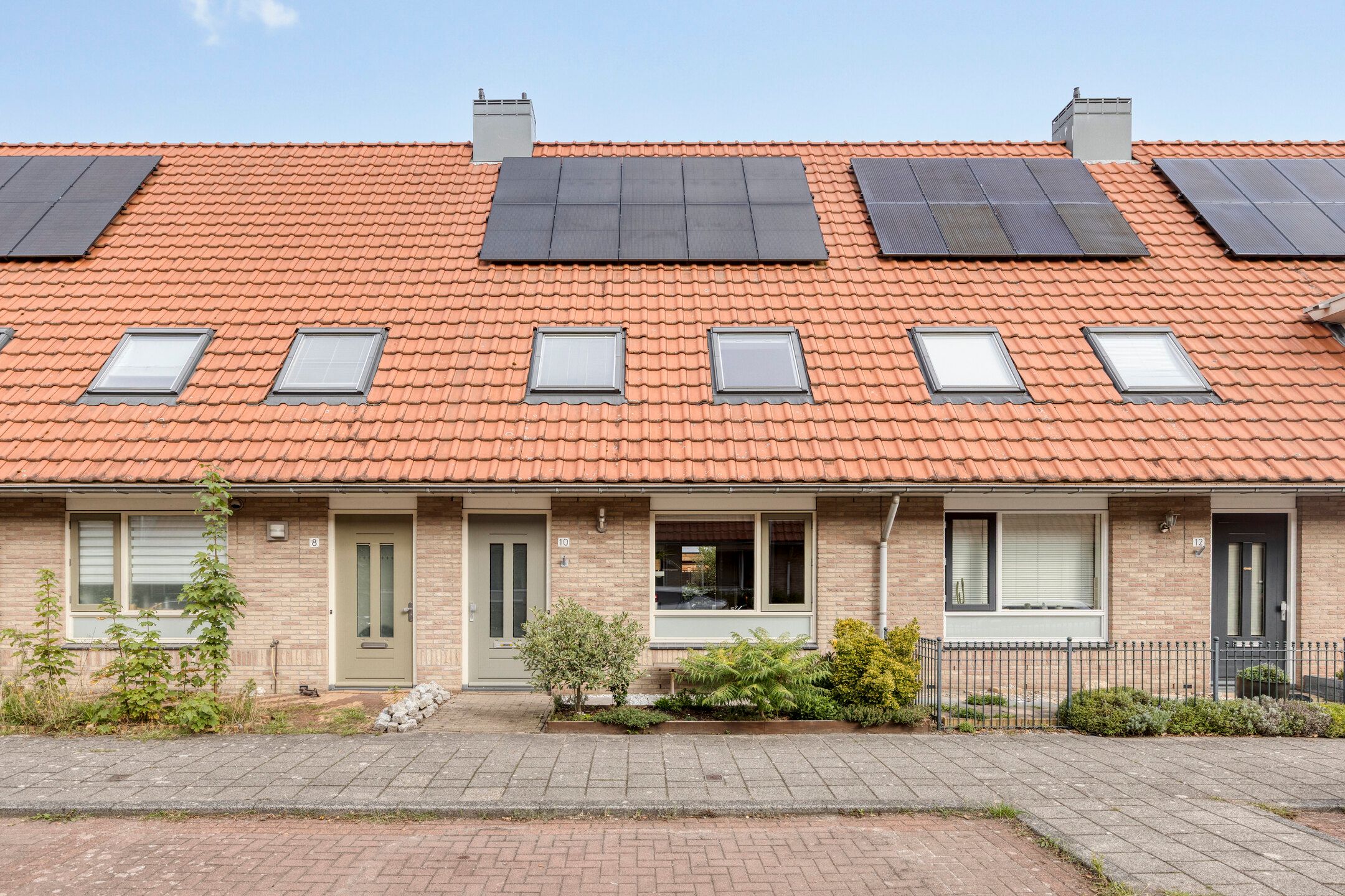 Boekweitakker 10 