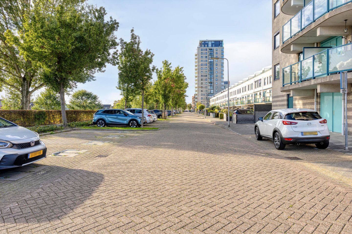 Photo 44 of Maasboulevard 247