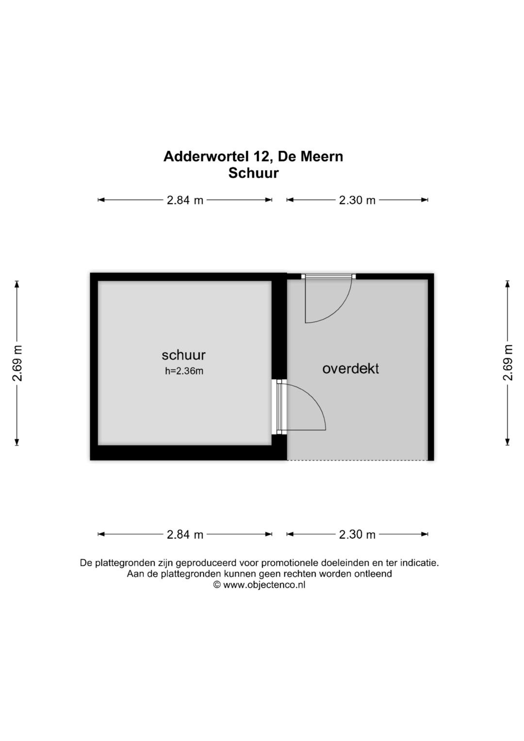 Photo 71 of Adderwortel 12