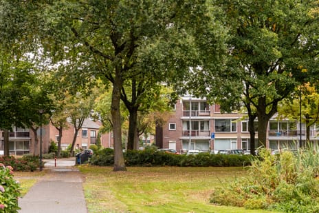 Drossaardstraat thumbnail
