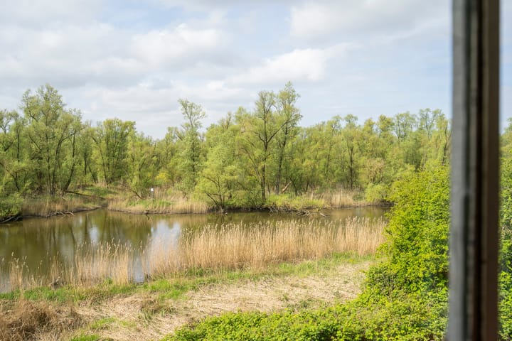 Vrijstaande woning te koop: Biesbosch 30, Drimmelen