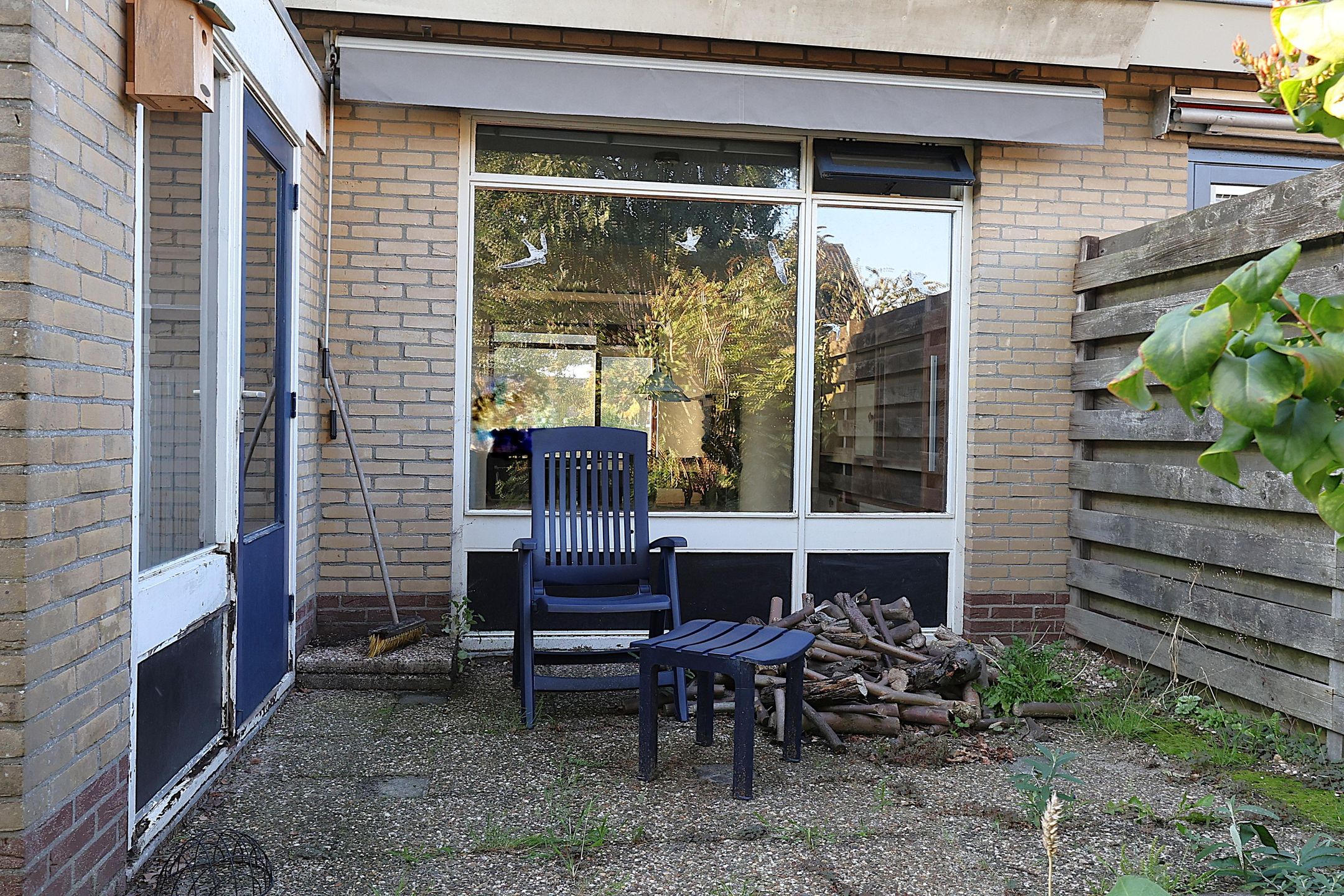 Photo 24 of Molepaed 32