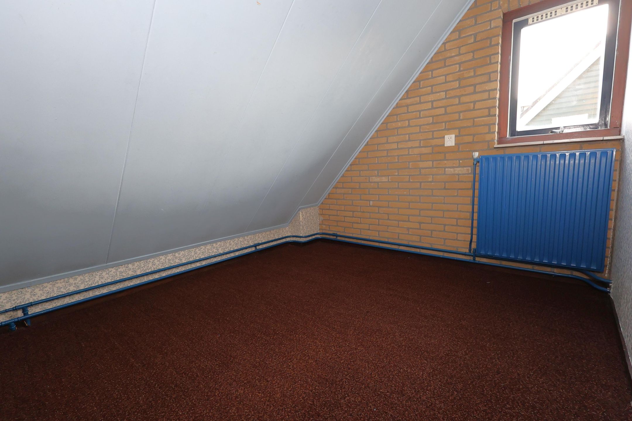 Photo 21 of Molepaed 32