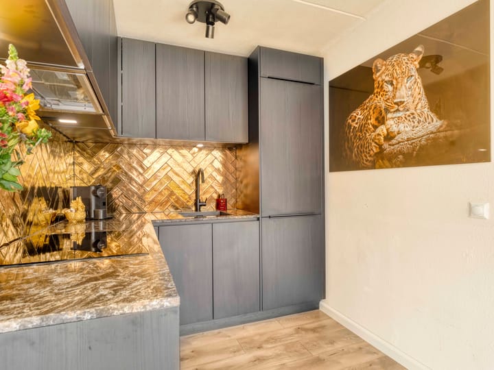 Vrijstaande woning te koop: Scheendijk 17-6, Breukelen