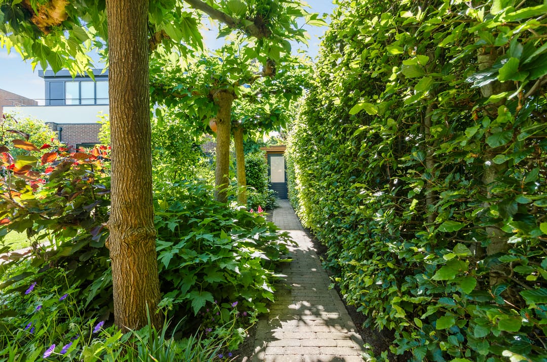Photo 58 of Veenlanden 151