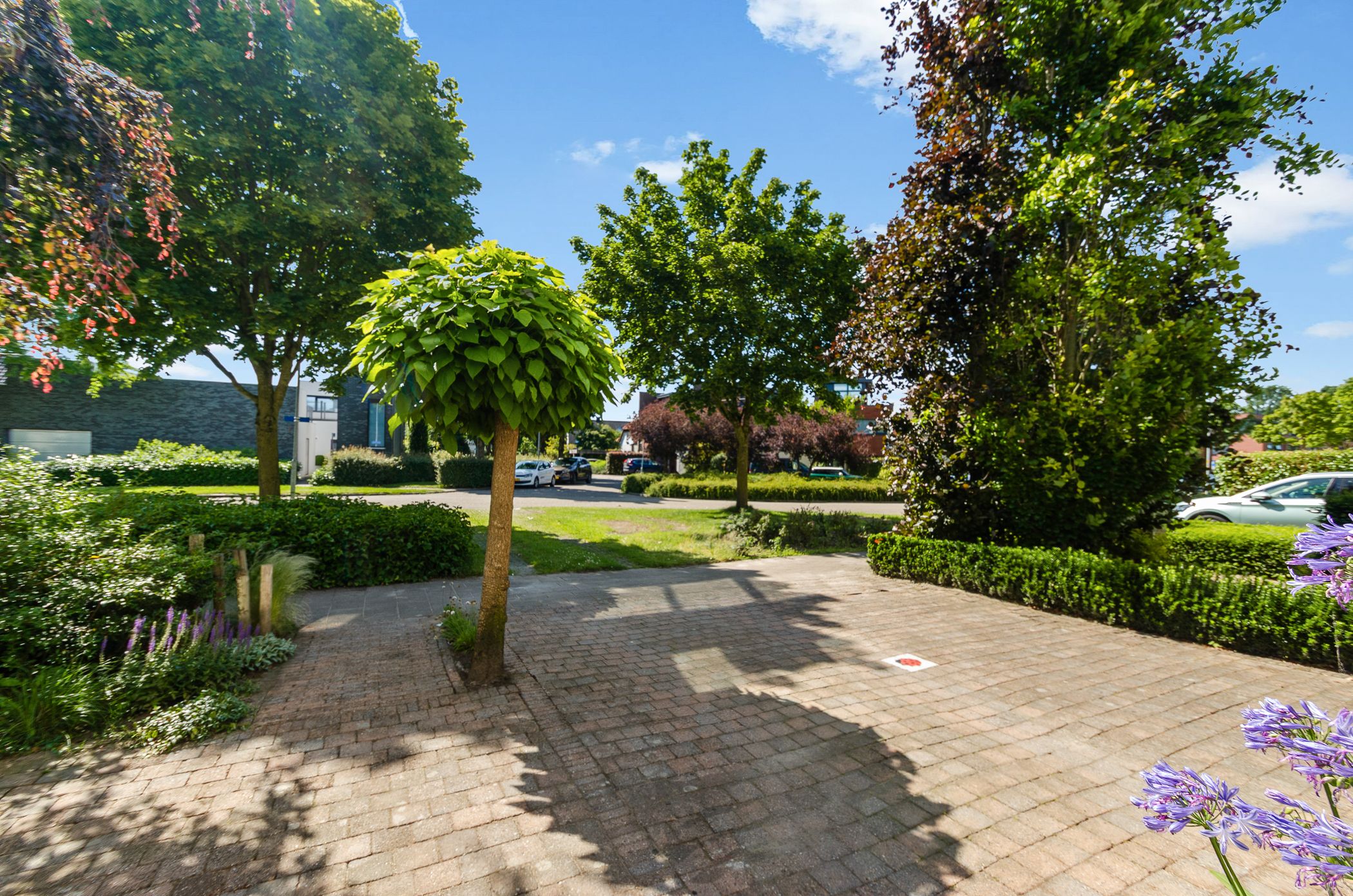 Photo 60 of Veenlanden 151