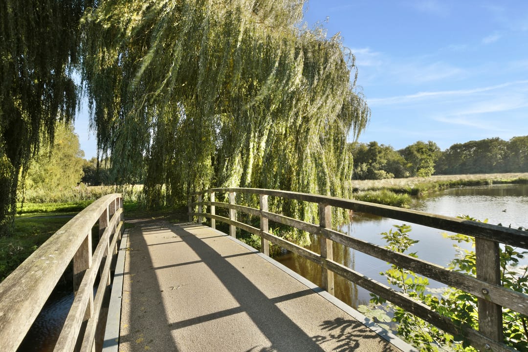 Photo 32 of Slauerhofflaan 14