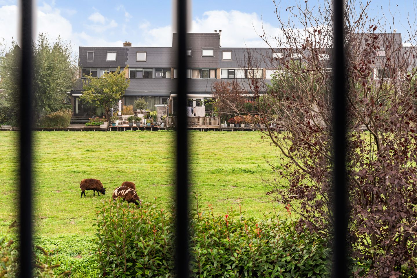 Photo 25 of De Hoeve 7