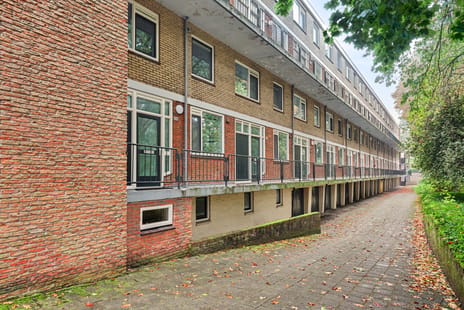 Oliemolensingel thumbnail
