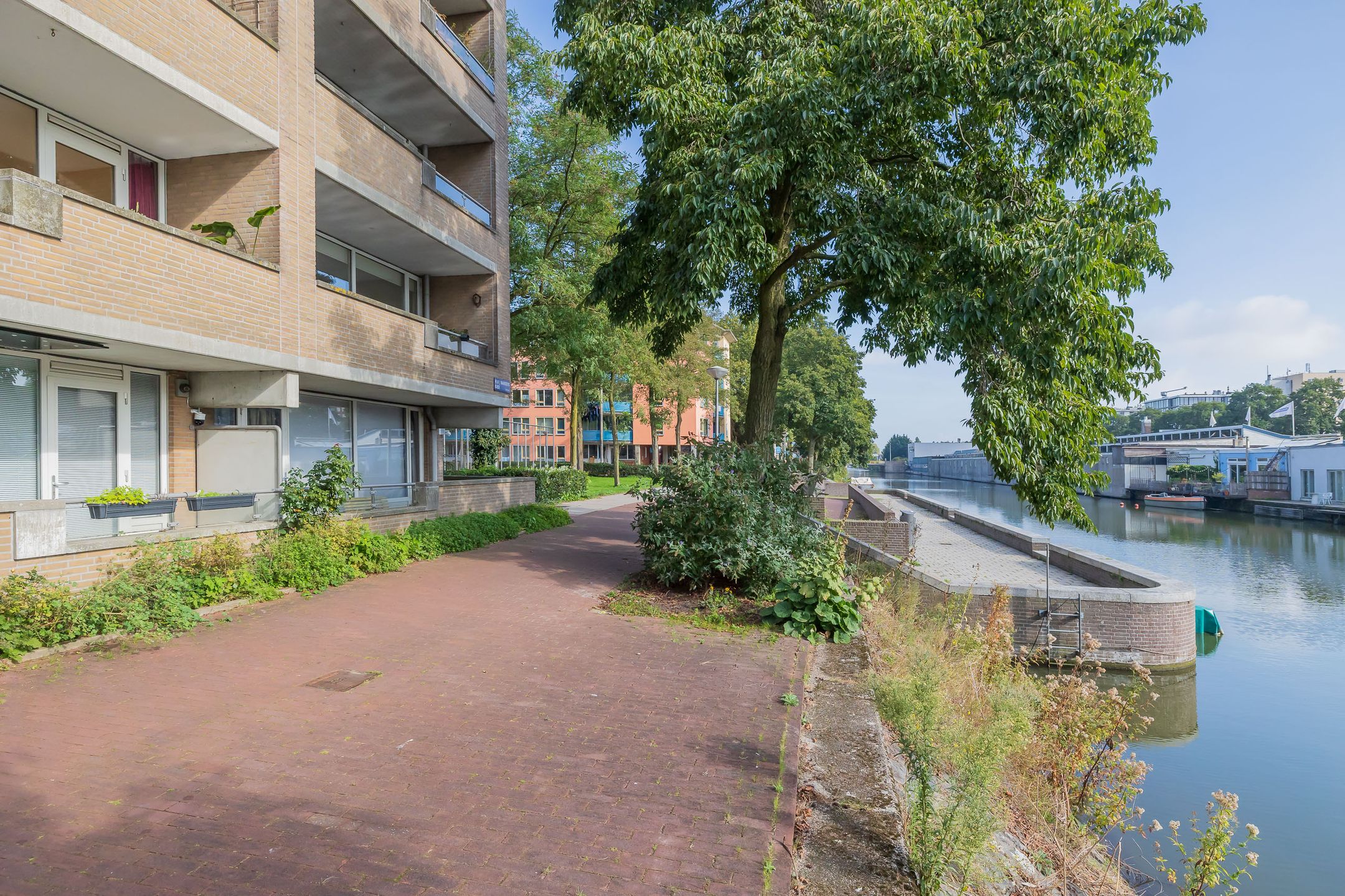 Photo 24 of Hildo Kropplein 13