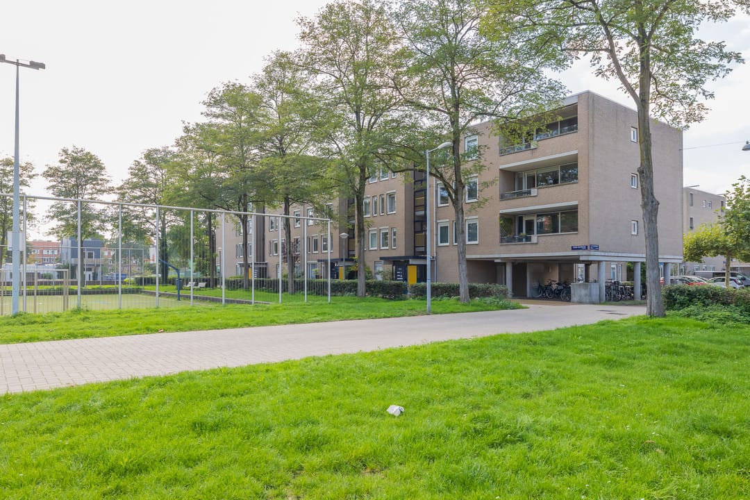 Photo 26 of Hildo Kropplein 13