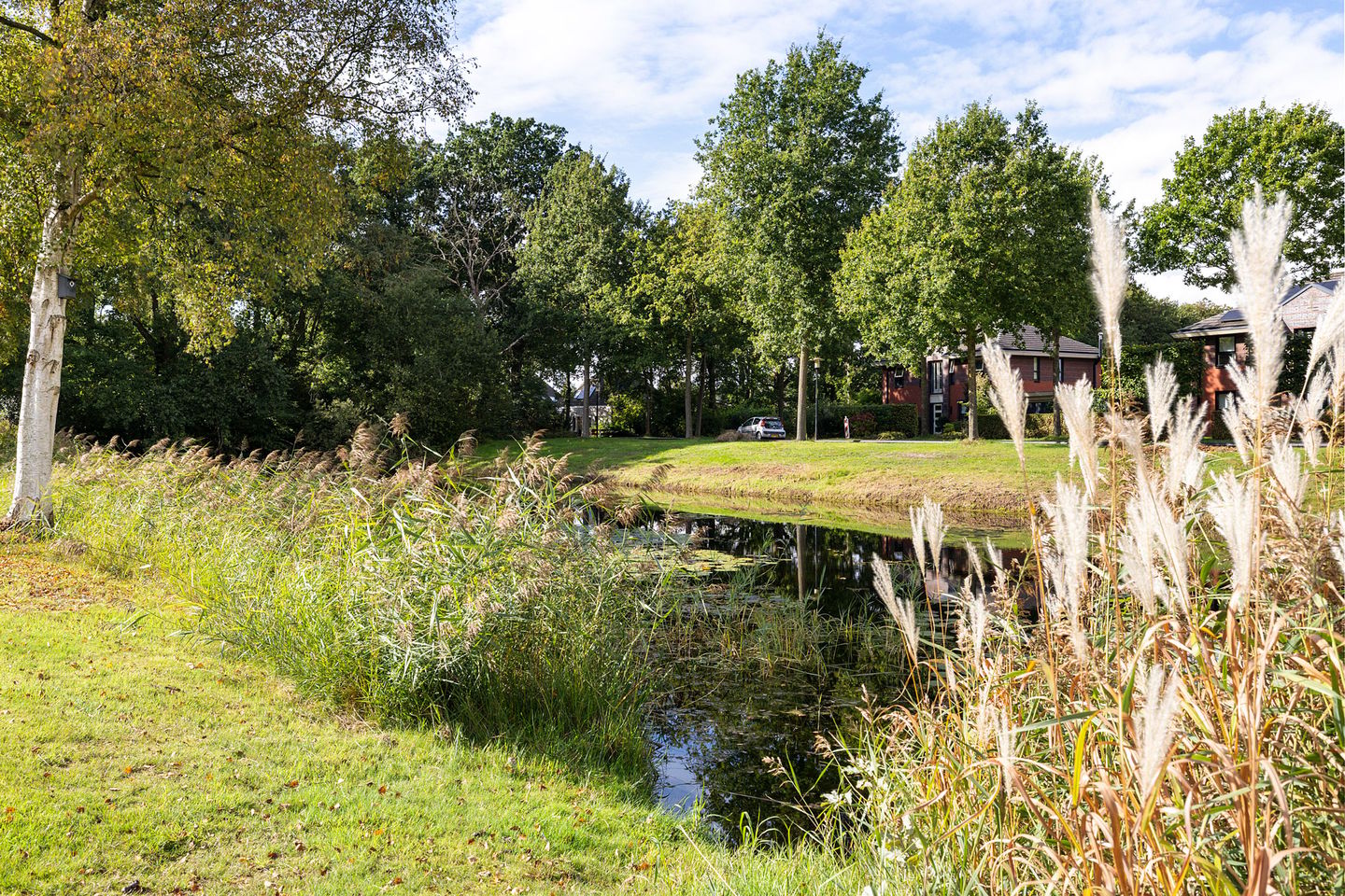 Photo 40 of Hoefblad 15