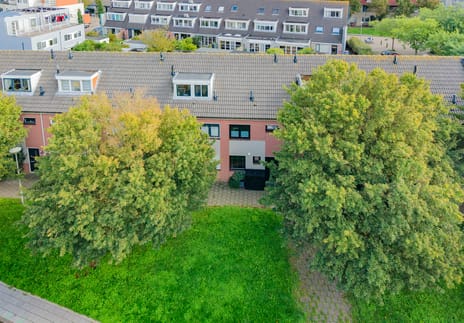 Betsy Perkstraat thumbnail
