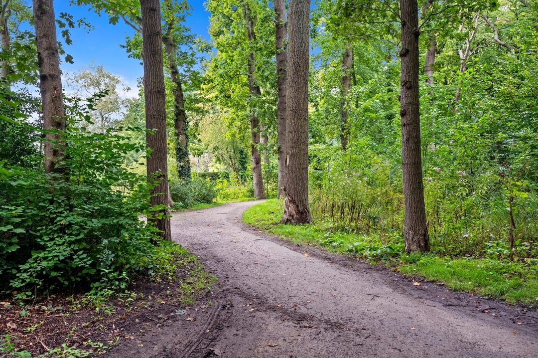 Photo 31 of Smaragdhorst 267
