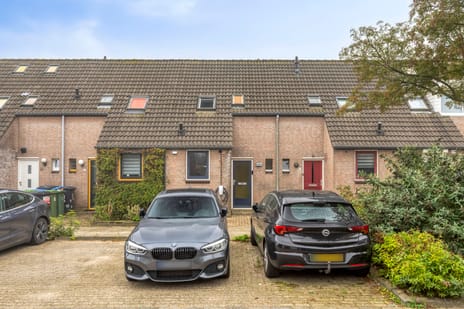 Carel van Manderdreef thumbnail