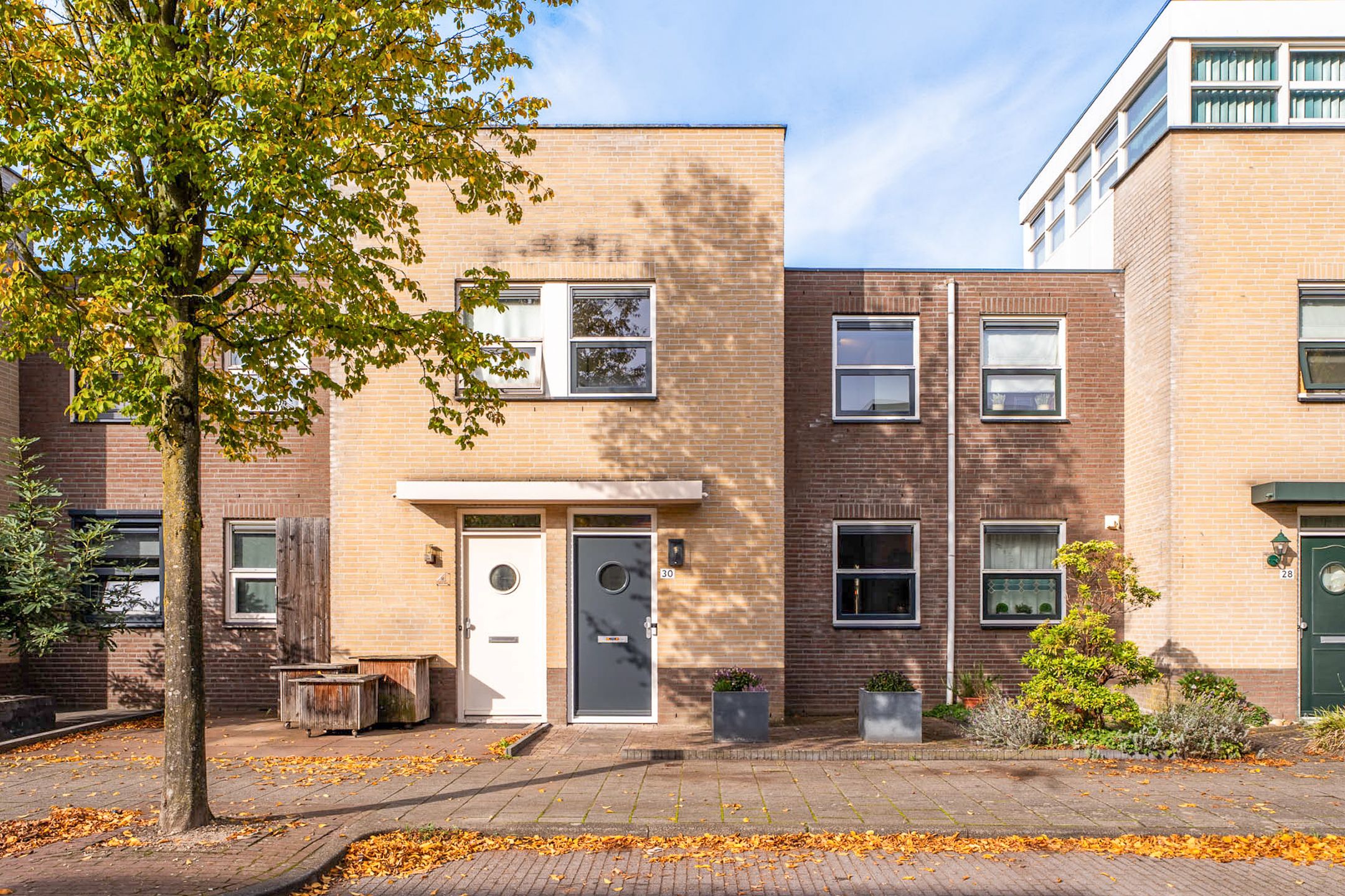 Vuurvlinder 30 